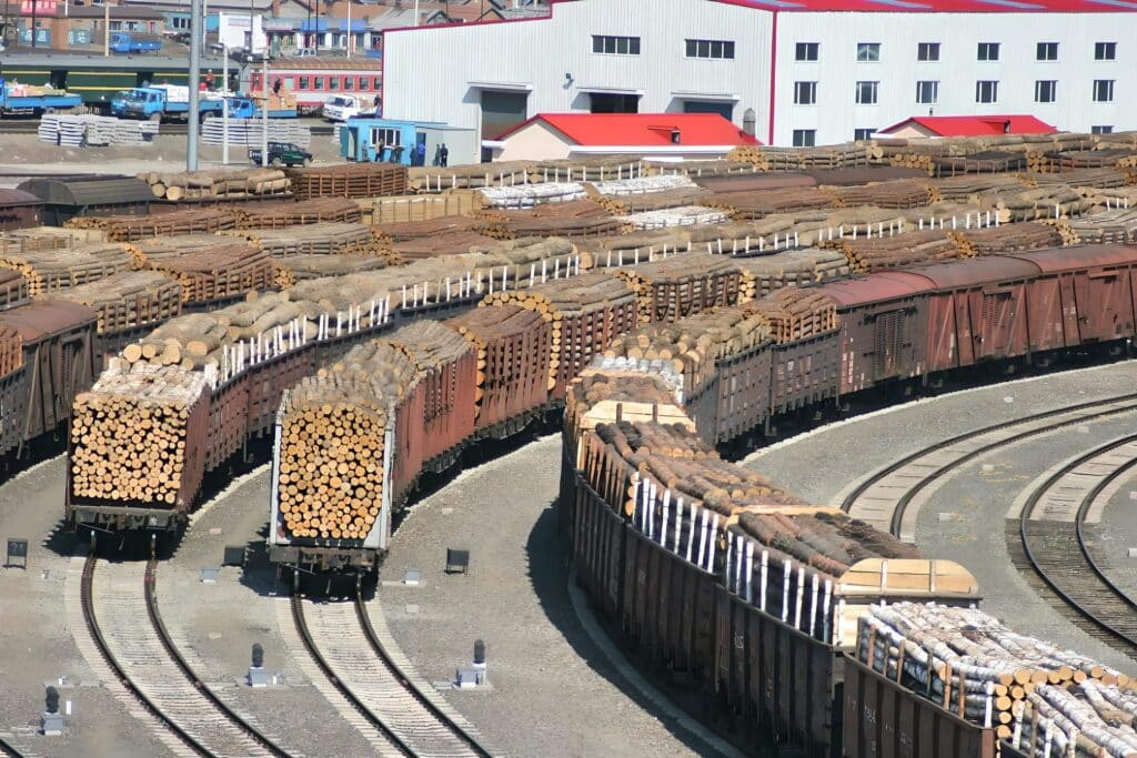 Russian timber in Suifenhe, China. (Photo Credit: Environmental Investigation Agency)