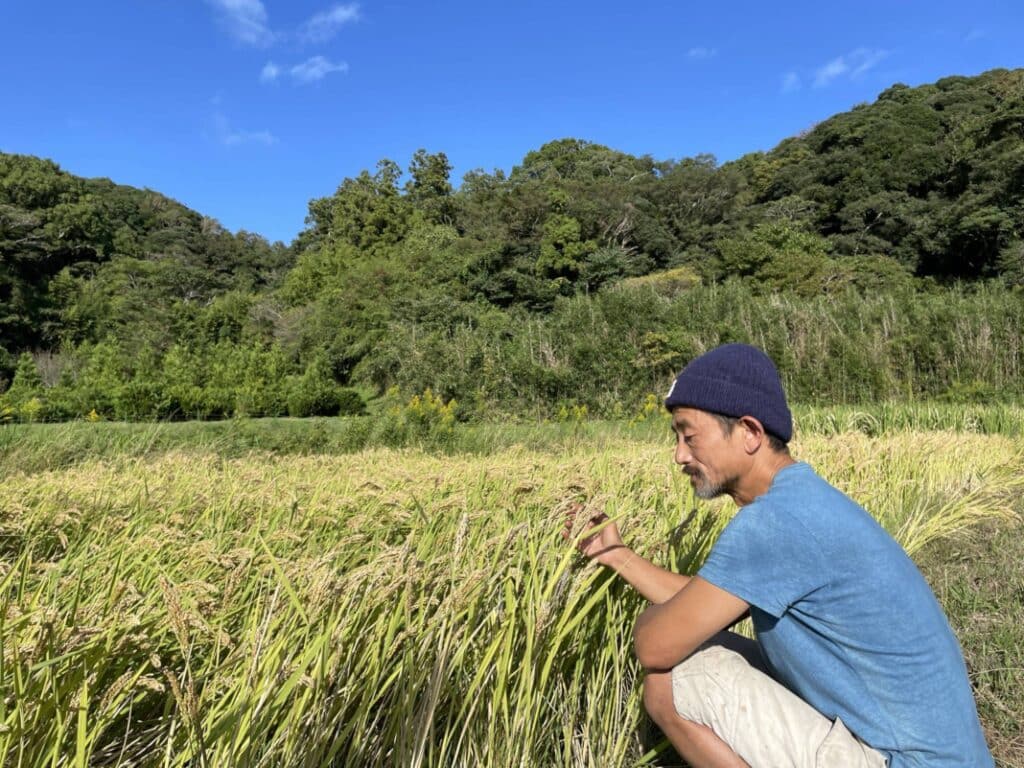 Australian and Japanese agro-foresters exchange land management ideas, traveling across central Honshu to share experiences and techniques. The group is set to learn from the depth of Japanese culture and land management experience, with a focus on forest and water resources. The exchange was funded by the Australia-Japan Foundation, Ausmed, and private sources.