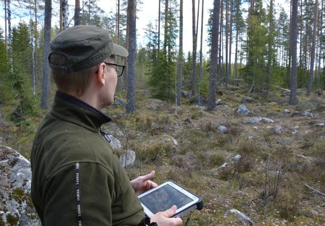 The AI-based Linda Planet solution eliminates the uncertainty and subjectivity associated with forest carbon assessments by providing a scientific and data-driven approach to forest carbon management.