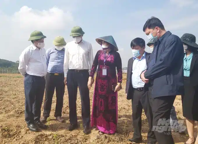 In December 2021 then Deputy Ministry of Agriculture and Rural Development Le Quoc Doanh (first, from left) visits the site that is planned for the construction of Vietnam's first hi-tech Forestry Park in north central region. (Photo credit: Viet Khanh.)

