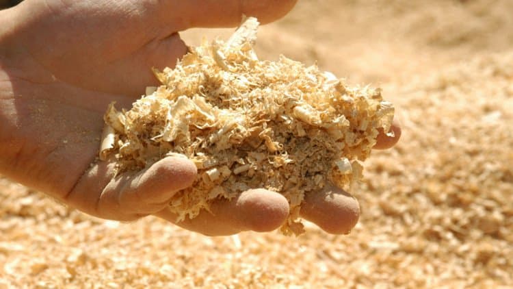A madeira para celulose usada em papel e embalagens poderia ser convertida em cavacos de madeira e convertida em produtos de madeira laminada de alto valor,