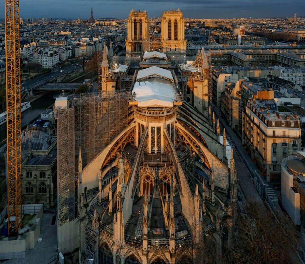 Notre Dame image for Wood Central article e1684409131460