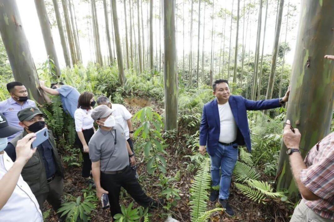 Malaysias Federal Minister of Plantation Industries and Commodities Willie Mongin inspects the growth of forest plantations in Sarawak. Photo credit Borne Post Wood Central