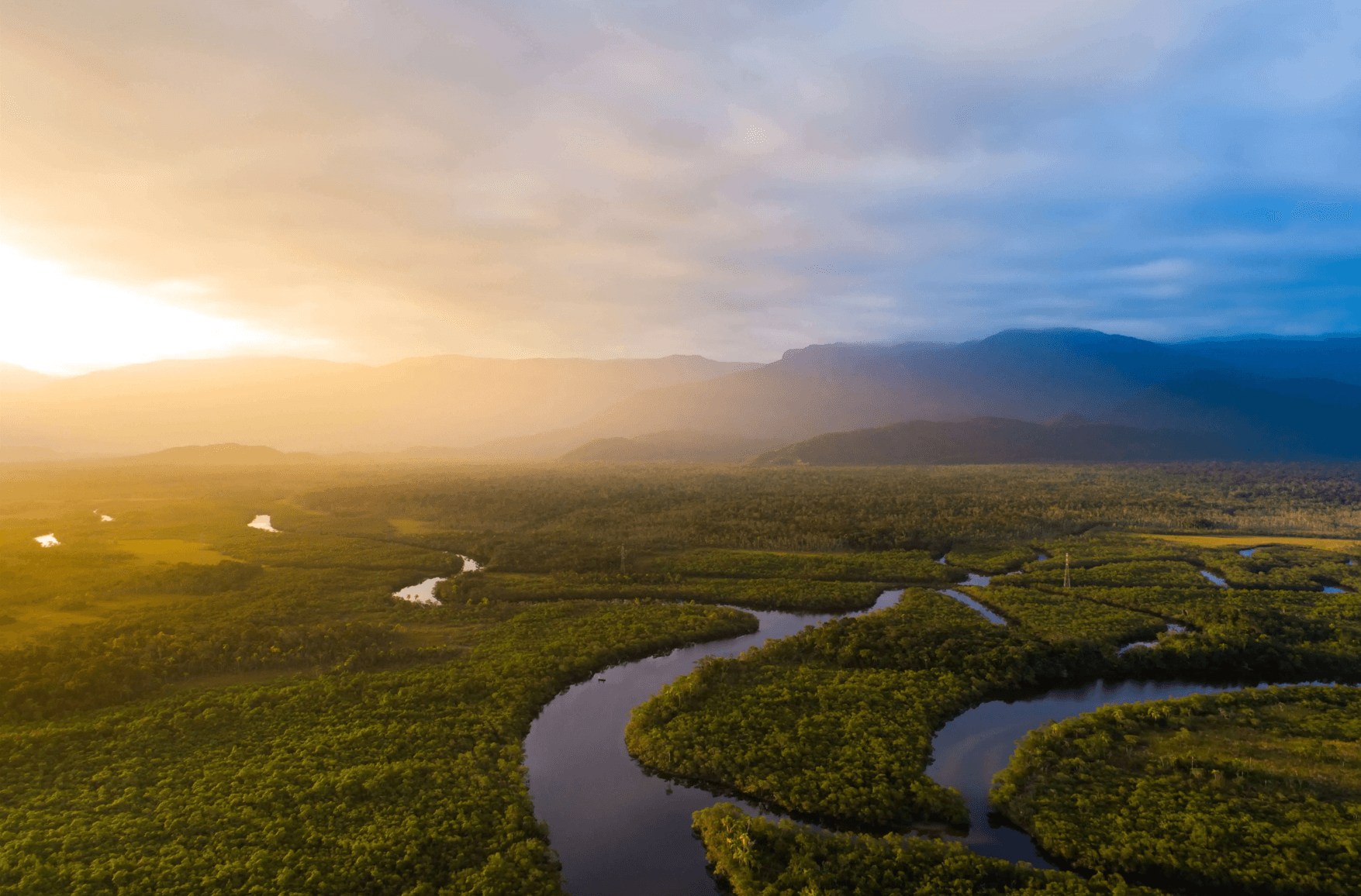 Deforestation surges in Brazil's Atlantic Forest