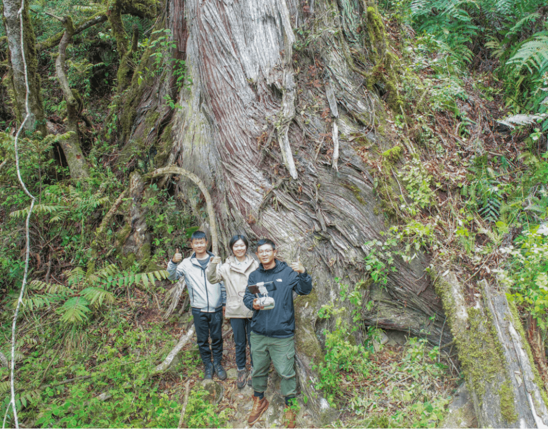 Researchers stand with 102.3 metre tall Himalayan cypress Yurlung Zangbo Grand Canyon National Nature Reserve in Chinas southwest Xizang Automonous Region Wood Central 1