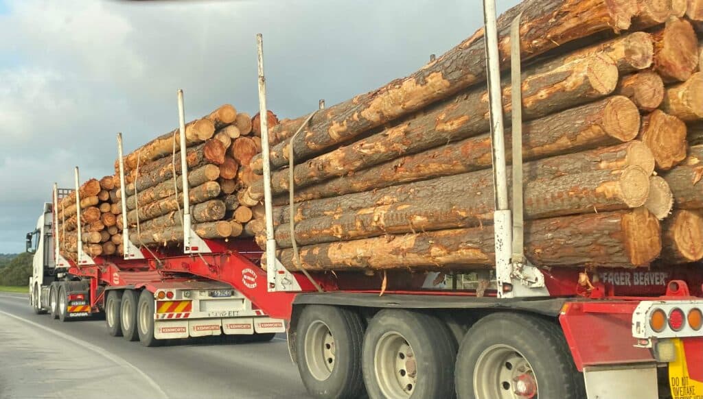 In April, Wood Central exclusively reported on the 2000 tonnes a cubic metre of timber leaving Australian ports per week.