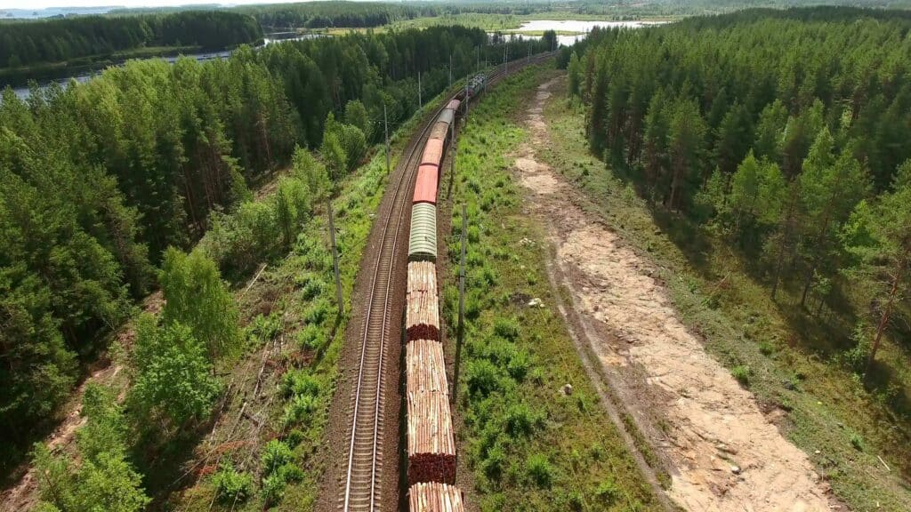 Russian logs continue to travel, via train across Eurasia, as Putin's linked oligarchs continue to get rich on selling timber into western markets. (Photo Credit: Kekyalyaynen via Adobe Stock Images)