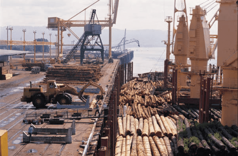 Dwindling European hardwood supplies meet rising Chinese demand as climate change and geopolitical tensions reshape the global timber market. Wood Central 1