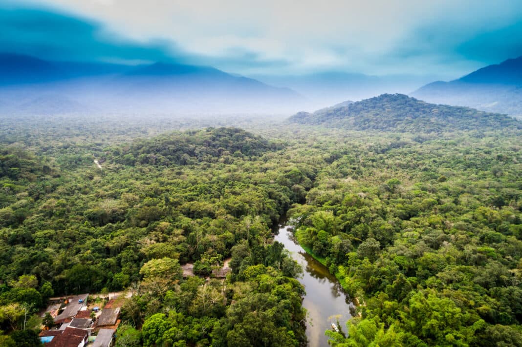 Leaders from 8 South American countries connected to the Amazon Rainforest will sign the pledge at a meeting in Peru next month. Wood Central 1