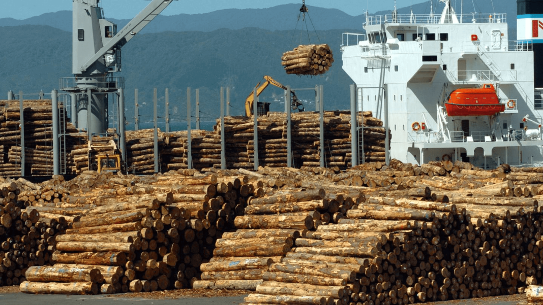 Logs being loaded at Centreport in Wellington bound for China Wood Central 1 1