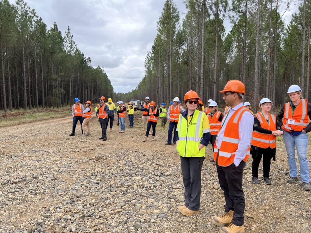 On Wednesday attendees participated in a softwood plantations field tour Wood Central 1 1