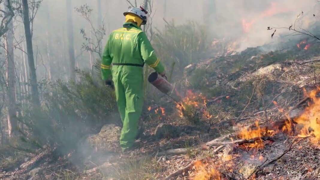 Summer bushfires CSIRO research centred on smoke from prescribed burns. Wood Central