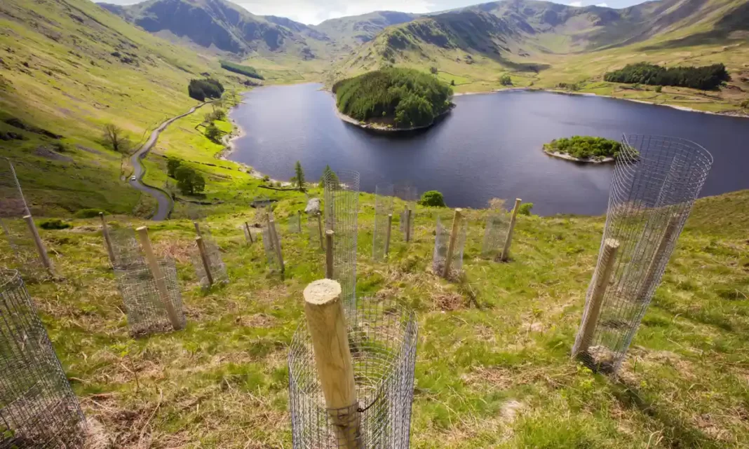 The committees chair Phillip Dunne said the governments tree planting policies are disjointed and not effective. Photo Credit Ashley Cooper from Alamy Wood Central