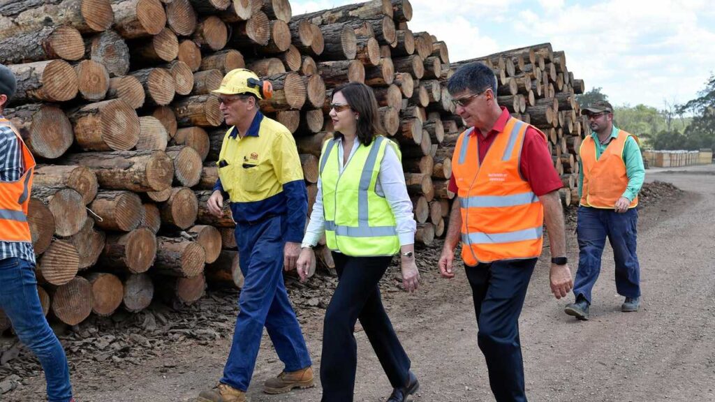 Supporting forest industry jobs… Queensland Premier Anna Palaszczuk visits Wade’s sawmill at Maryborough joined by owner Robin Wade and Maryborough MP Bruce Saunders.