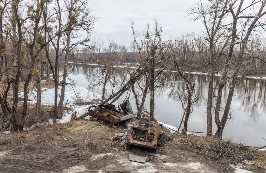Ukrainian forests have been battered by the Russia and Ukraine war.