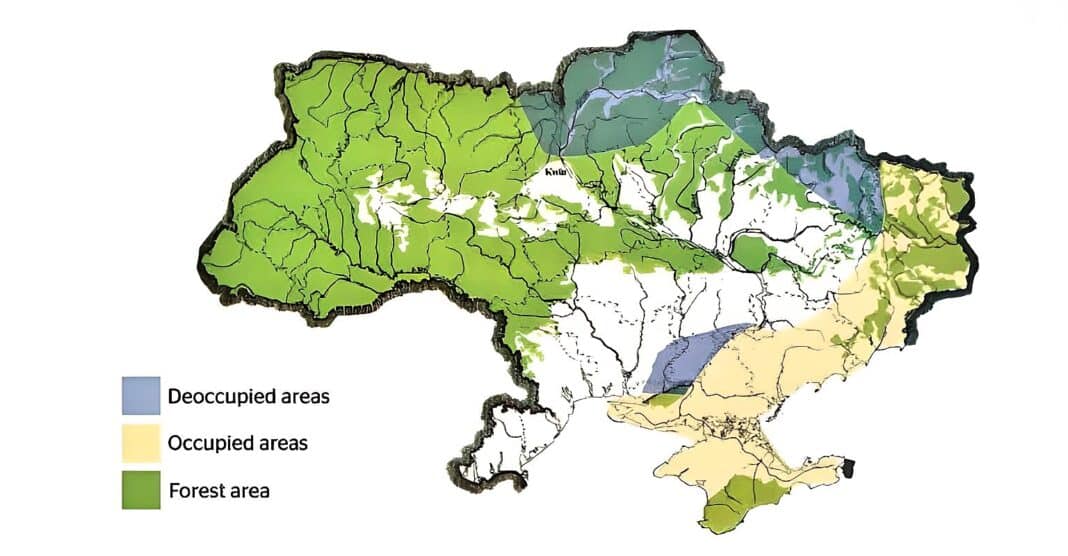 A breakdown of the occupied and reoccupied areas with Ukrainian forest areas cross-over shaded in green. (Image Credit: L. Poliakova, May 2023 from Forest Europe Report)