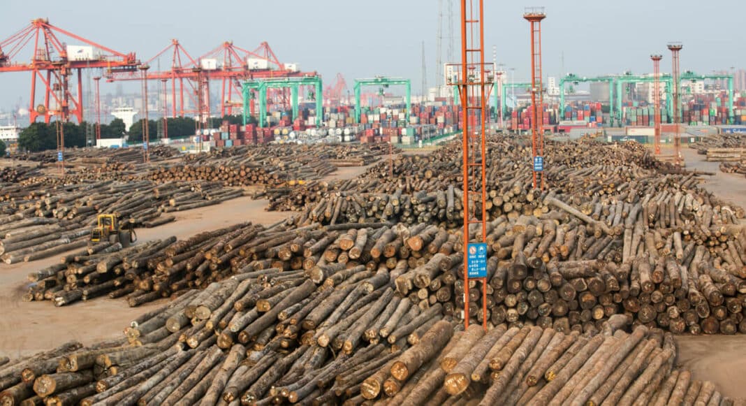 Vast quantities of logs being unloaded in the port of Zhangjiagang South East China Wood Central 1