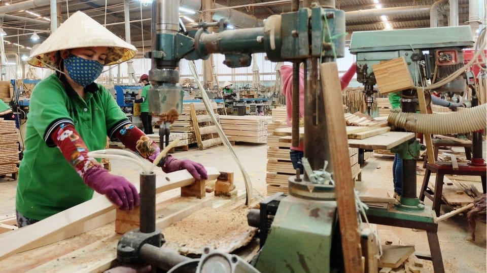 Vietnam is amongst the largest export markets for hardwood furniture. The vast majority of raw materials are imported from over 100 overseas markets flagging concerns over illegal logging.