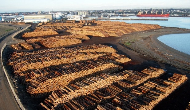 Thousands of logs are stacked on Timarus waterfront in Southern Cantebury, NZ waiting for export to China. Log exports are considered 'core business' for the port. (Photo Credit: Supplied by Stuff NZ)