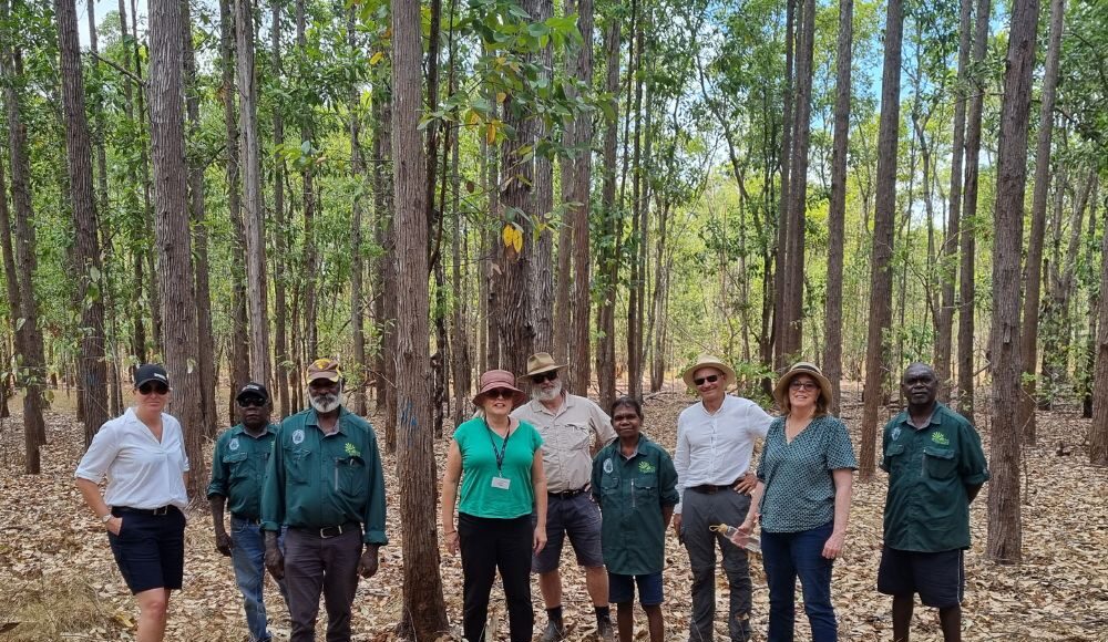 The full FWPA board and key management team with representatives from the Tiwi Plantation Corporation amid the 30,000 hectares of Tiwi Island plantation estate last week. (Photo Credit: Supplied)