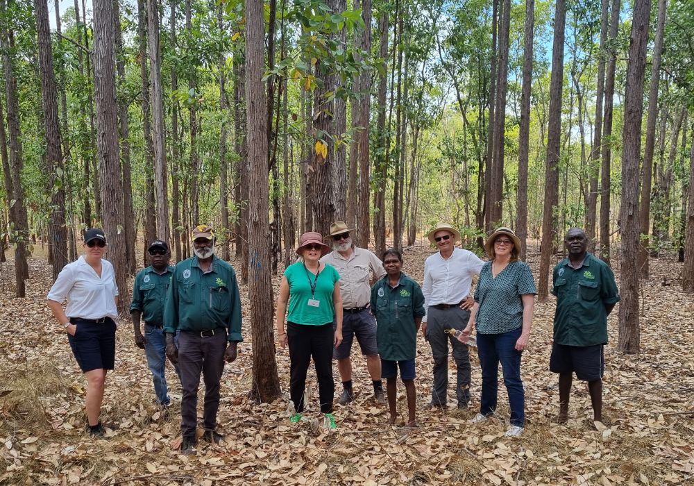 The full FWPA board and key management team with representatives from the Tiwi Plantation Corporation amid the 30,000 hectares of Tiwi Island plantation estate last week. (Photo Credit: Supplied)