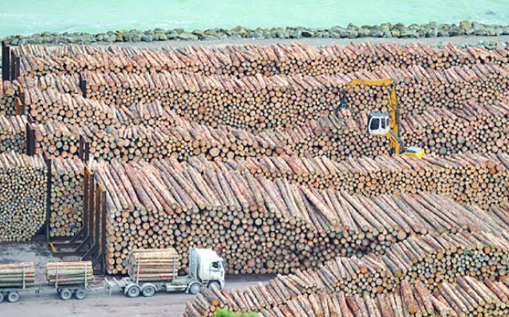 The size and scale of India's demand for global timber is astonishing. The Kandla (pictured) and Mundra ports are amongst India’s busiest ports, processing several million cubic metres of imported timbers every year. (Photo Credit: Global Wood Markets).