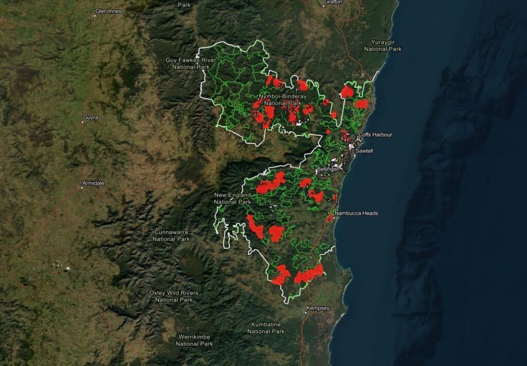 Wood Central can reveal the 106 coups connected to the Great Koala National Park