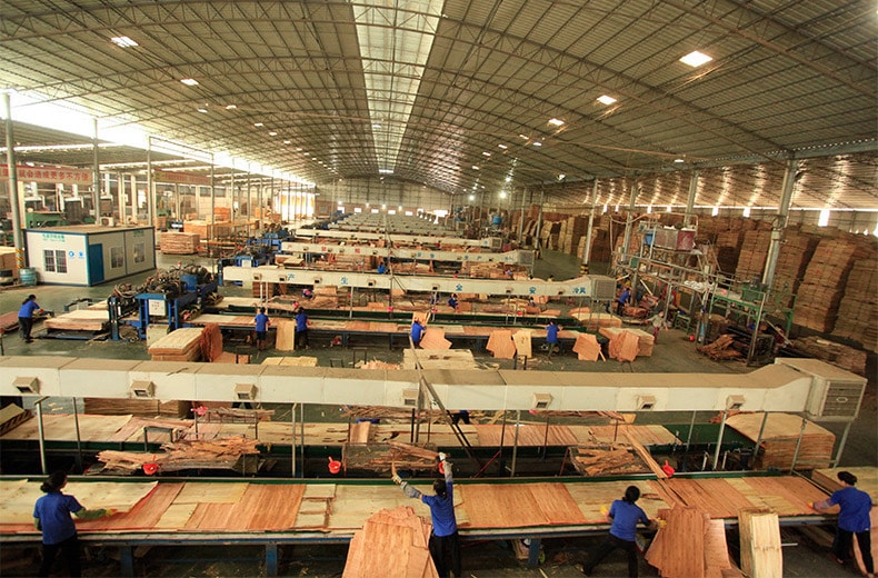 China is the world's largest export market for plywood - with more than 71% of the global supply being produced in China and exported to global markets. Producers include Fujian Shenjian Bamboo and Wood Co., Ltd. which is located in the province of Fujian in China. (Photo Credit: Supplied)