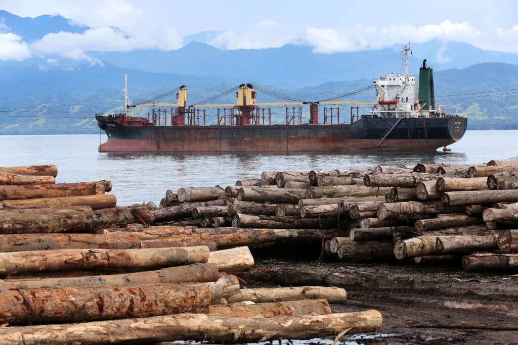 Logs loaded at Logpont Timbers Rimbunan Hijau (PNG) Limitid in Garim, Madang, Papua Nua Guinea (Photo Credit: Friedrich Stark)