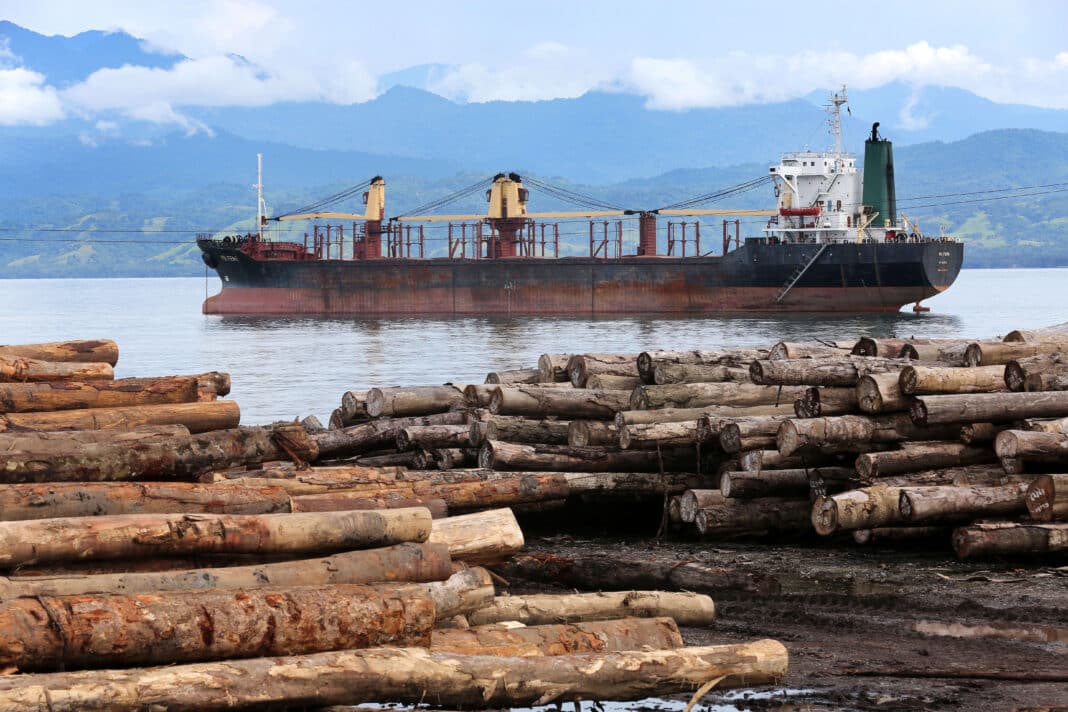 Logs loaded at Logpont Timbers Rimbunan Hijau PNG Limitid in Garim Madang Papua Nua Guinea (Photo Credit: Friedrich Stark via Alamy Photod)