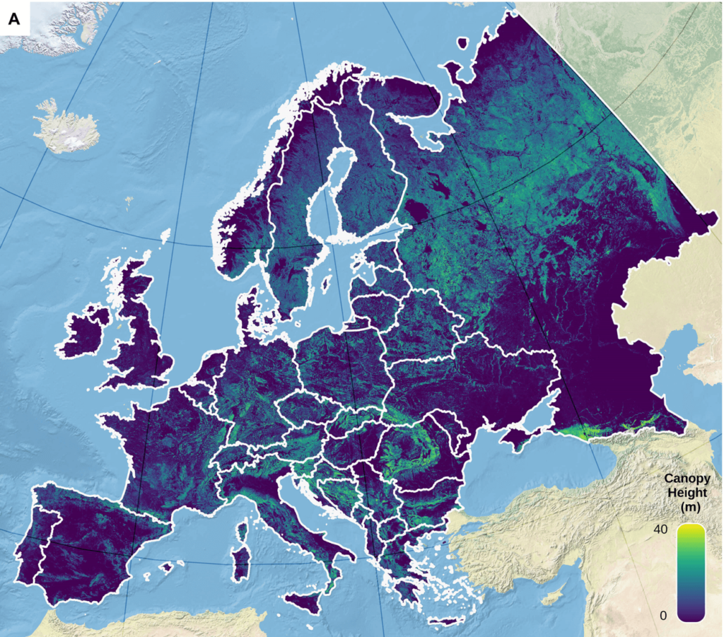 Led by the University of Copenhagen's Department of Geosciences and Natural Resource Management, they calculated tree coverage with 92.4% accuracy in what amounts to the first capture of the total tree cover across Europe. (Photo Credit: Sciences Advances Journal)