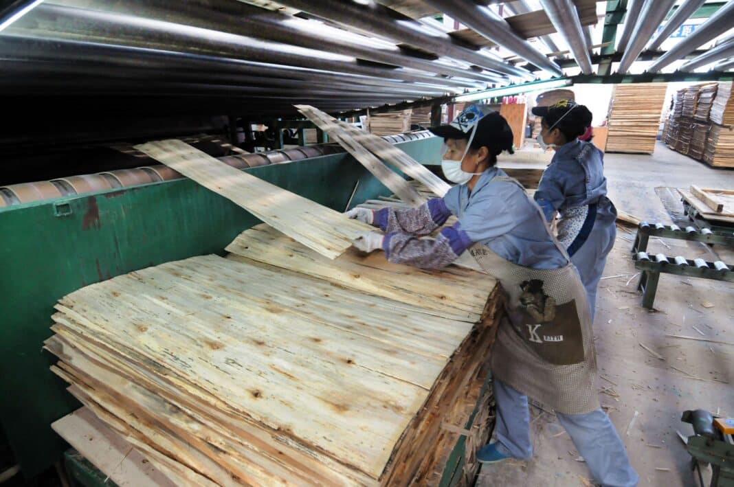 Female Chinese workers produce plywood at a furniture factory in Shangsi county, south Chinas Guangxi Zhuang Autonomous Region. (Photo Credit: Imaginechina Limited / Alamy Stock Photo)