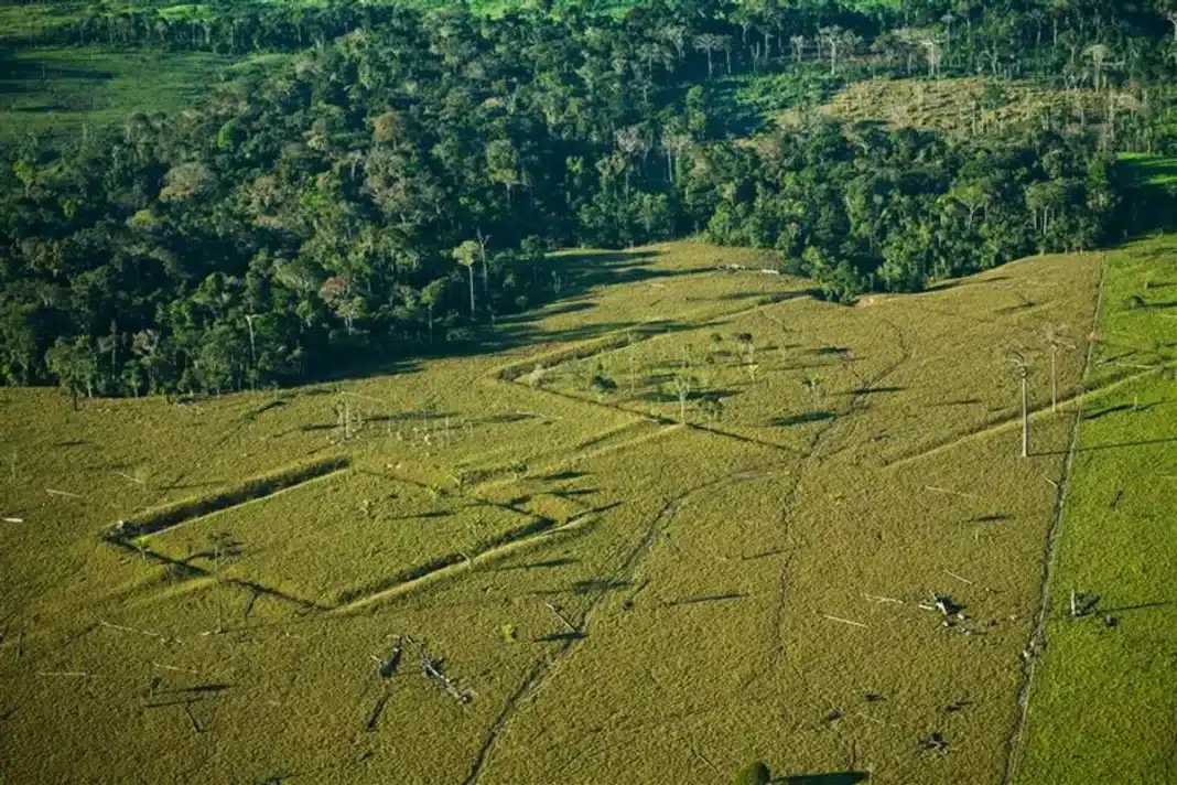 earthworks in the amazonian landscape l