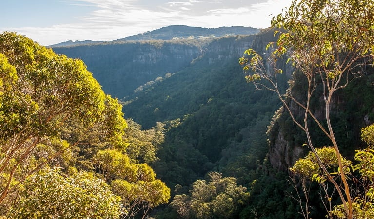 Responsible Wood manages the Australian Standard for Sustainable Forest Management and is the PEFC endorsed scheme in Australia. (Photo Credit: Stock Image)