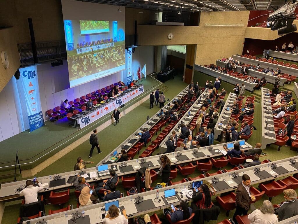 More than 600 delegates attended the 77th Standing Committee meeting for CITES in Geneva, Switzerland, earlier this month. (Photo Credit: CITIES Facebook)