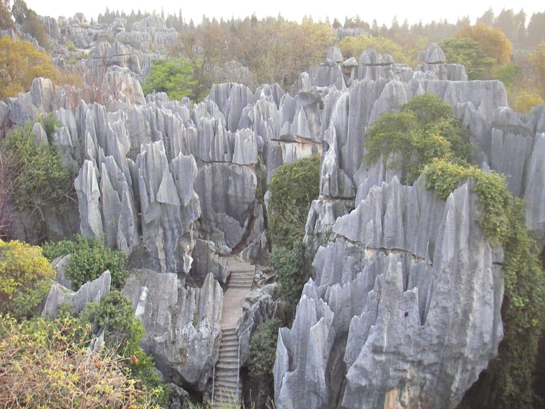 In September, Wood Central reported that an AI model established that more than 87% of East Asia's planted forests are in China, which has successfully implemented one of the world's most successful afforestation programs. In shot is the Stone Forest, known as Shilin in Chinese, is a unique and otherworldly geological formation located in Yunnan Province, China. (Photo Credit: Stephen Zopf via Flickr under Creative Commons 2.0)