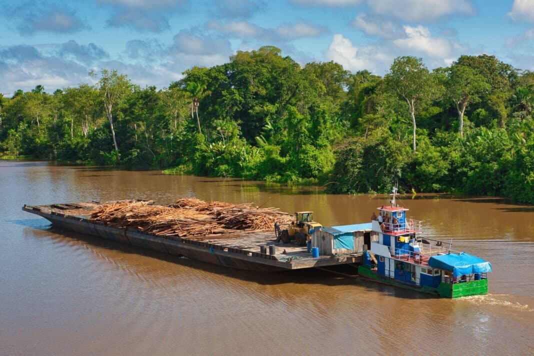 Brazil is looking to export it's vast forest resources into global markets. (Photo Credit: James Davis Photography via Alamy Photo Stock)