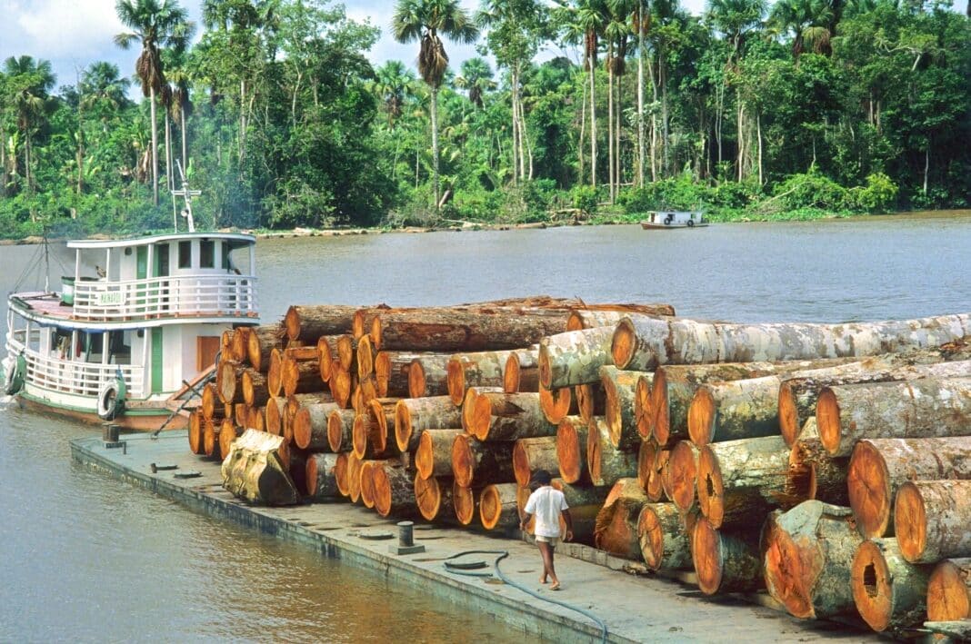 Brazil is looking to export it's vast forest resources into global markets. (Photo Credit: Jacques Jangoux via Alamy Photo Stock)