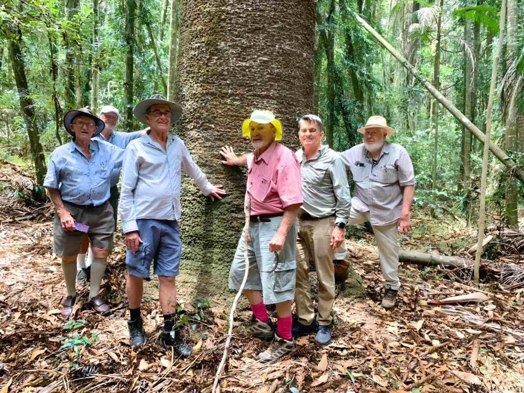 Gathering beneath a 600-year-old bunya pine in the Mapleton hinterland are Ron Sutton, former tree cutter, Cooroy, Don Towerton, Thora Wholesale Timbers, Brisbane, author Burnard Collins of Mapleton, John Eggerton, Peachester Timbers, Brisbane, and Joh Muller, Wood Addiction, Montville.