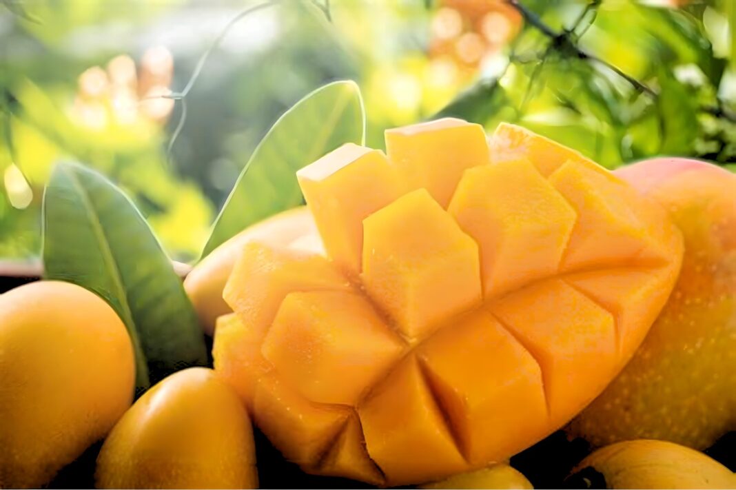 Mangos are the latest food product to meet PEFC-certification