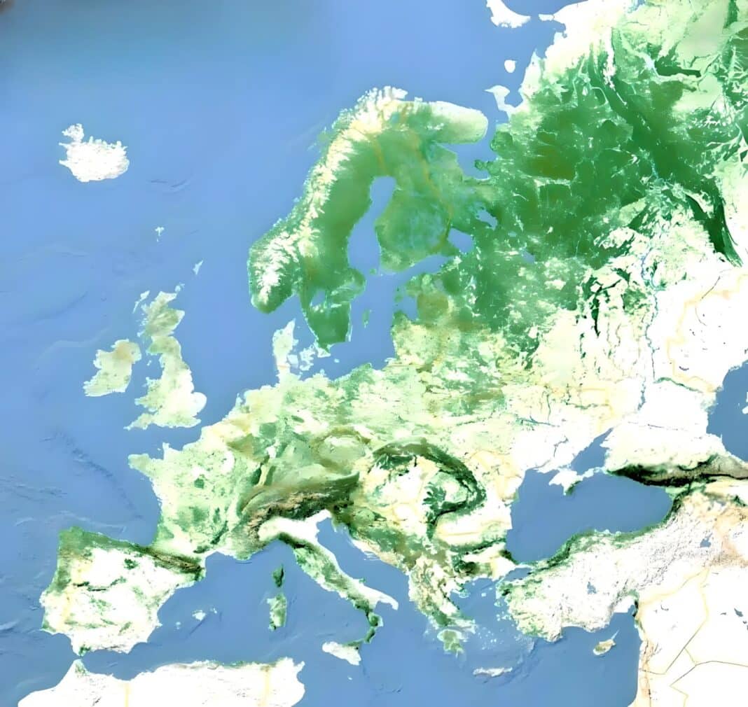 As part of the EU's Green Deal, Europe will have the most advanced and integrated forest monitoring system anywhere in the world!