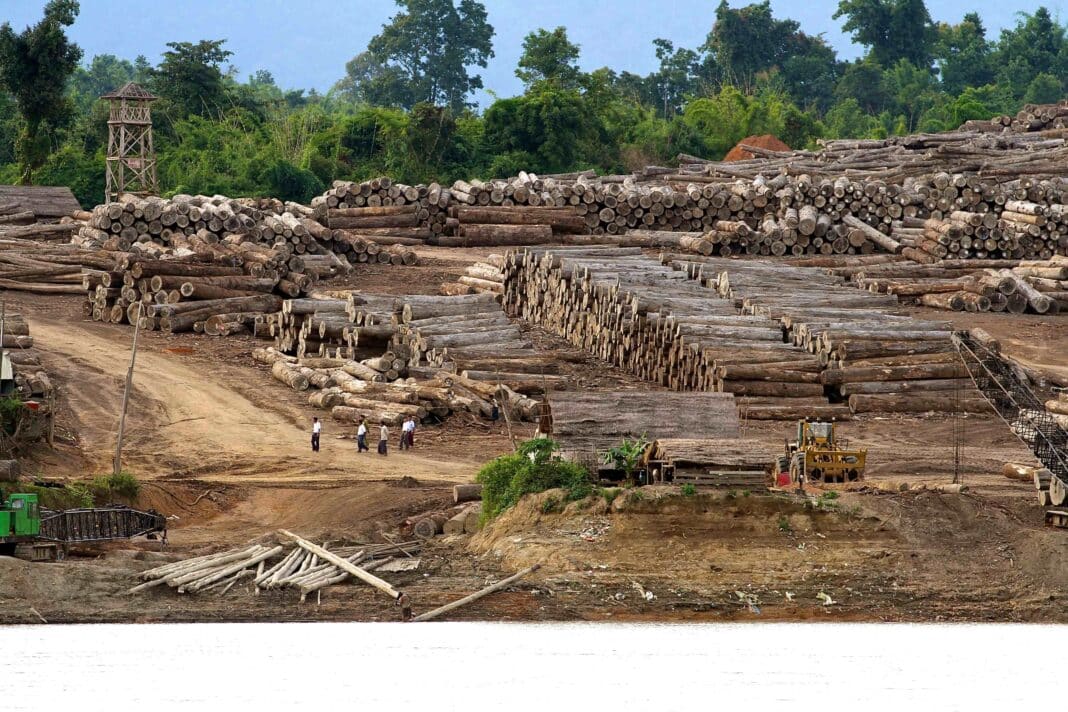 The International Tropical Timber Organisation aims to halt deforestation and conflict timber in the world's most