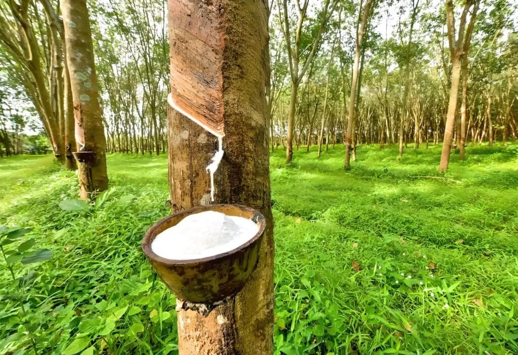 As global rubber producers look to FSC and PEFC certification to de-risk supply chains, national standards and government mandates provide the only path to "close loops in supply chains" and greatly increase levels of forest certification across Thailand, Vietnam and Indonesia.