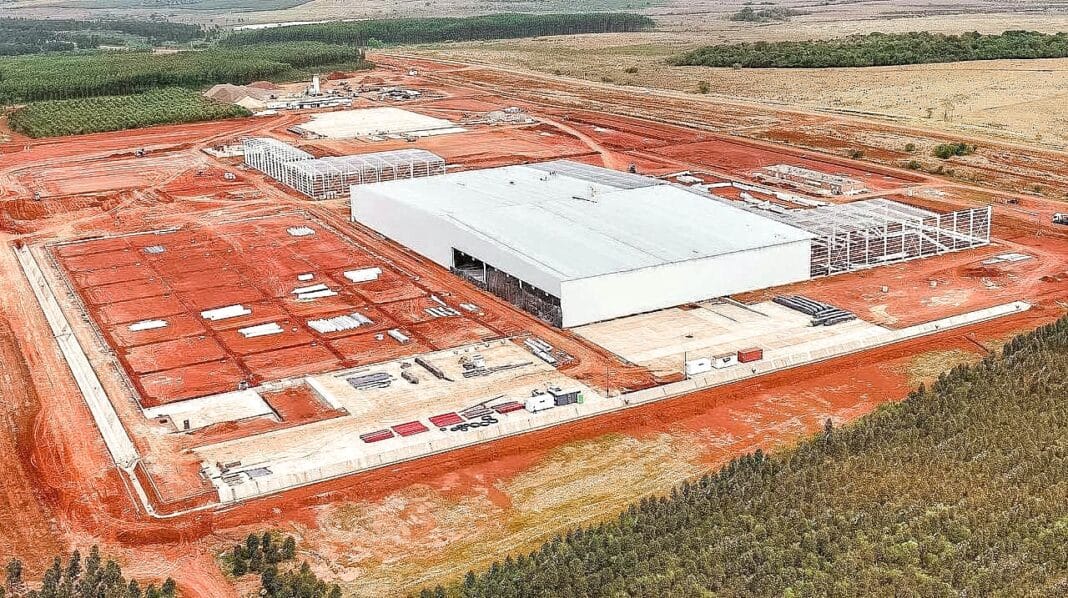 The new US $100m Acon Timber Group in Argentina has a processing capacity of 500,000 cub m of sawlogs a year. (Photo Credit: Acon Timber)