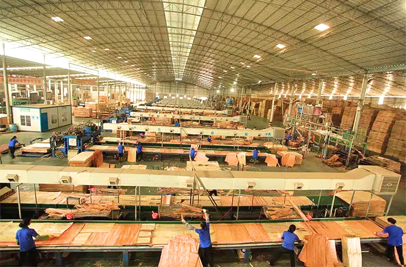 China is already the producer of 71% of the world's plywood - and operates thousands of mega-sized plywood plants, including Fujian Shenjian Bamboo and Wood Co., Ltd., located in the province of Fujian in China. (Photo Credit: Supplied)