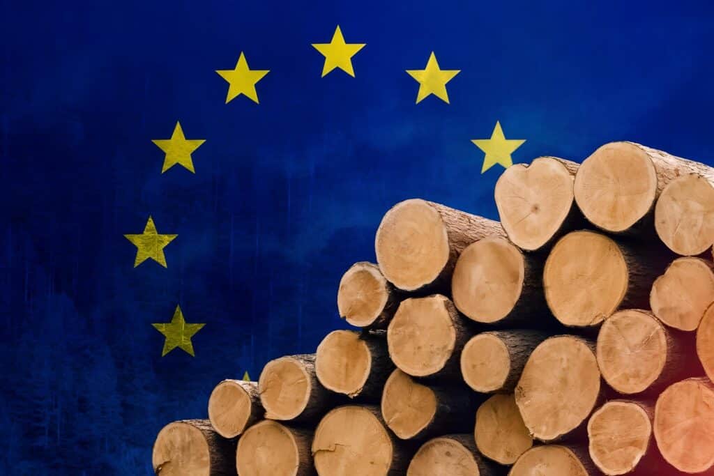 The EU are in the process of introducing the world's strongest deforestation laws. As the third largest timber market in the world, behind China and the US, it will have major implications for global supply chains for forest products. (Image Credit: Getty Images)