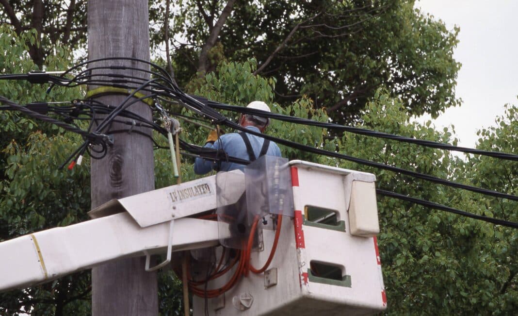 As it stands, more than 86% of the country's electricty grid relies on 9 billion hardwood power poles to deliver electricity across Australia. (Photo Credit: Selfwood / Alamy Stock Photo)