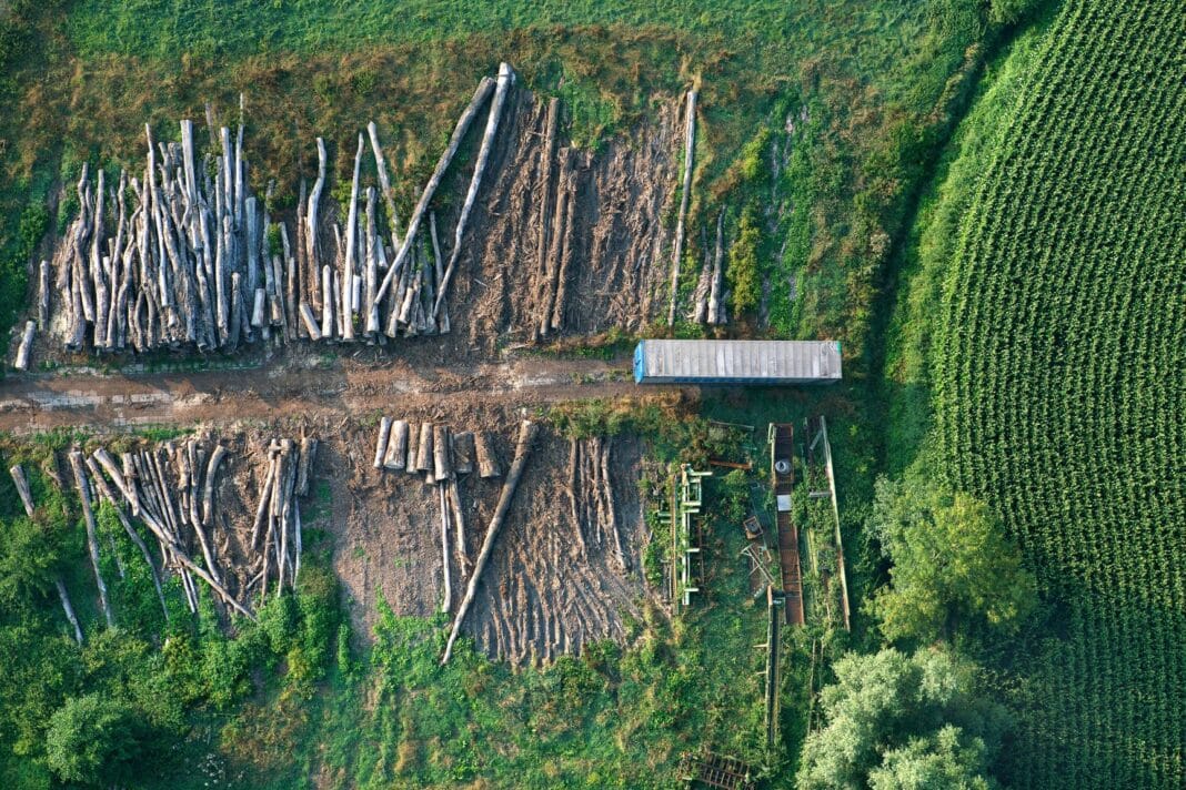 A partially cleared timber yard, aerial view, Belgium, East Flanders, Meetjeslands Krekengebied, Meetjesland. Belgium has emerged as one of the top destinations for Russian wood which has dodged western sanctions via third-party trade ports. (Photo Credit: blickwinkel / Alamy Stock Photo)