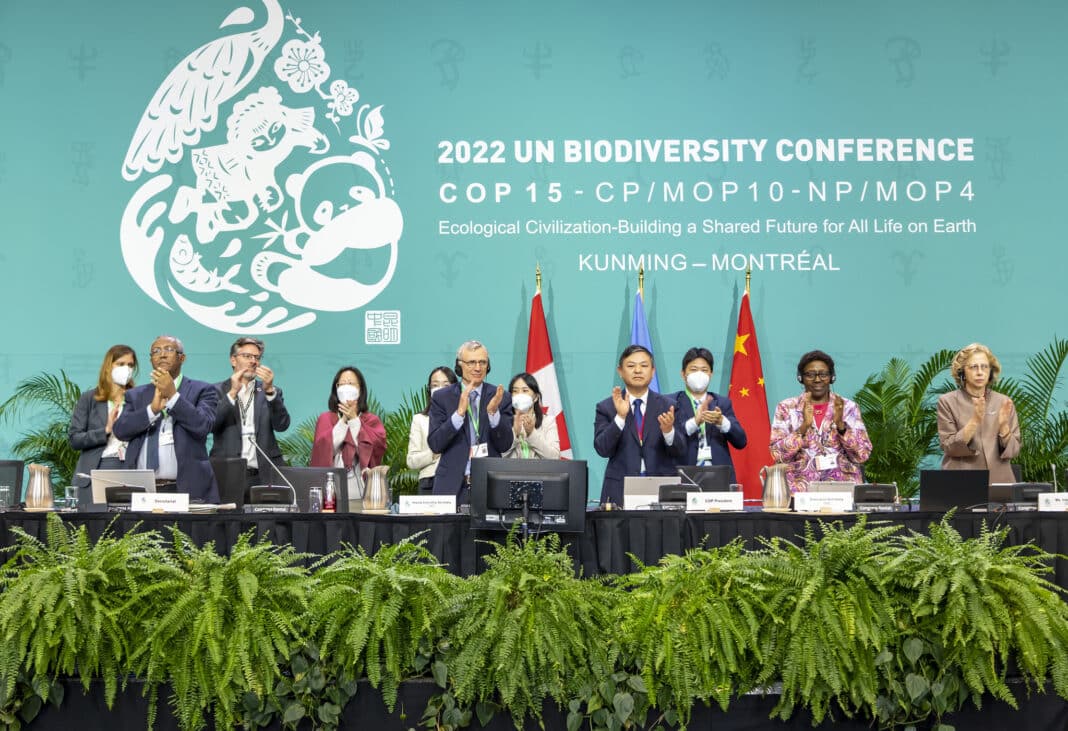 In December 2022, Australia was one of the high profile signatories of the COP15 Biodiversity Pledge to halt and reverse deforestation. Now ENGO's are pushing the government to target forestry and mining interests to meet those targets. (Photo Credit: UN Biodiversity from julianhaber.com, shared from flickr CC BY-NC 2.0 license)
