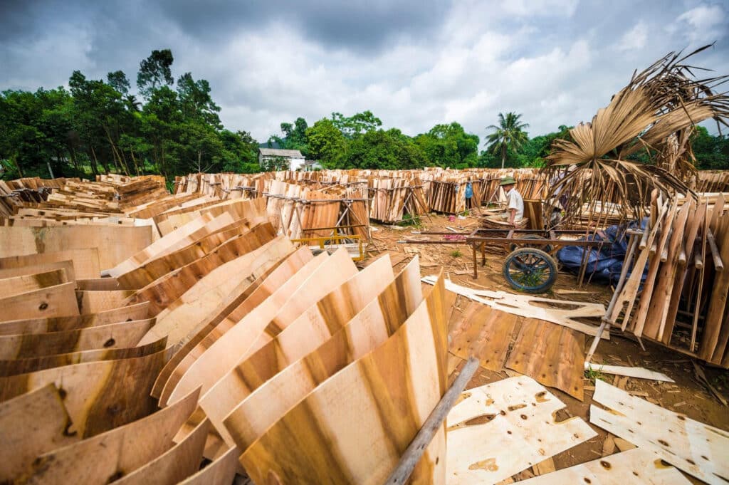 Vietnam has emerged as one of the world's most important plywood markets, fuelling a surge in secondary processed wood products. In Khe Lua, a Vietnamese village, a factory produces elephant earboards that will be sold to China as plywood. (Photo Credit: Hemis / Alamy Stock Photo)